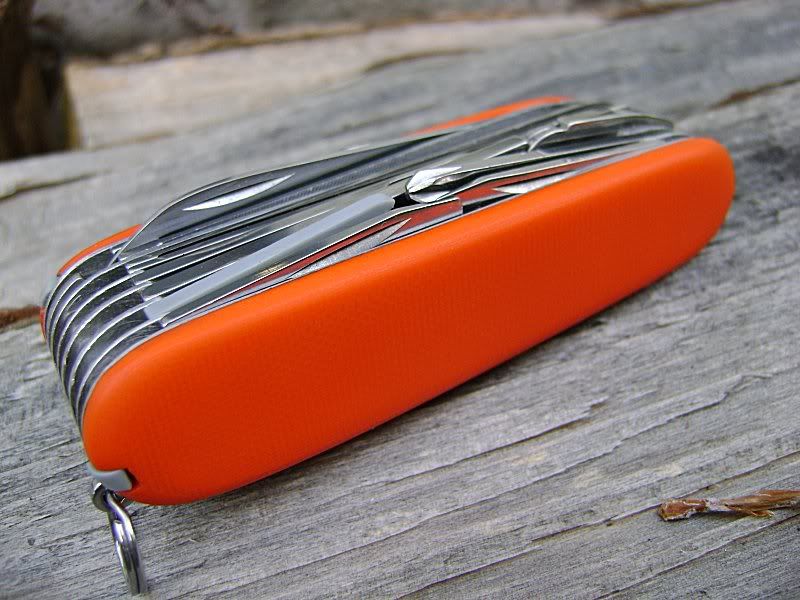 orange2.jpg