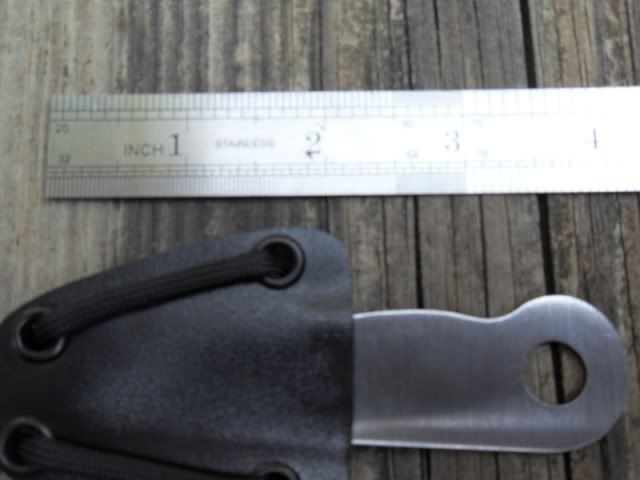 SDC10701.jpg