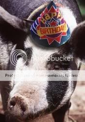 birthdayhog.jpg