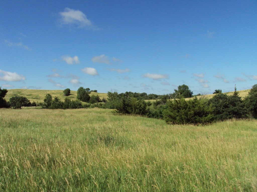 DSC00961.jpg