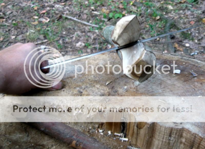 IMG_2179.jpg