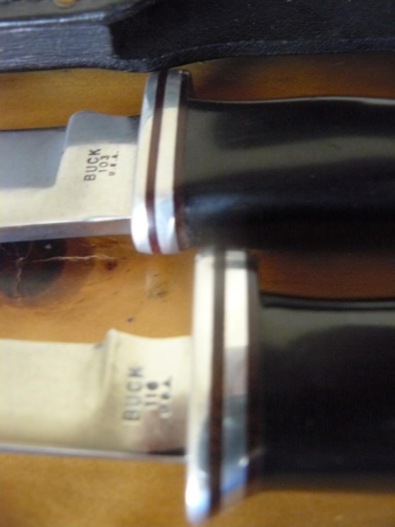 P1050103.jpg