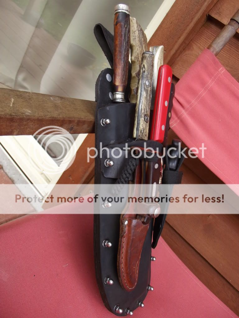 newsheath002.jpg