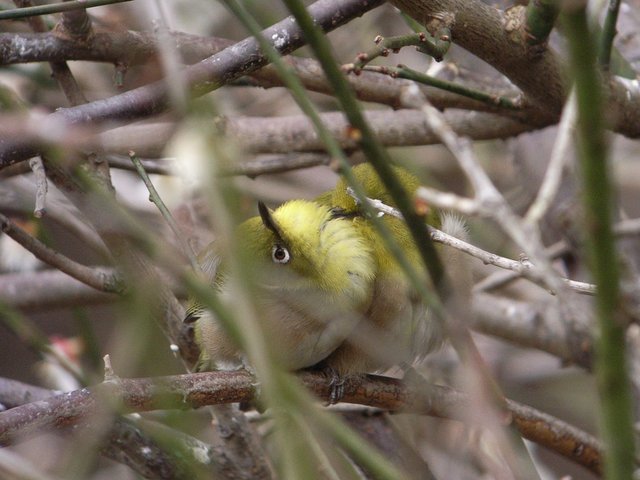 2010.02.27.r0020469.jpg