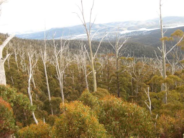IMG_1400-1.jpg