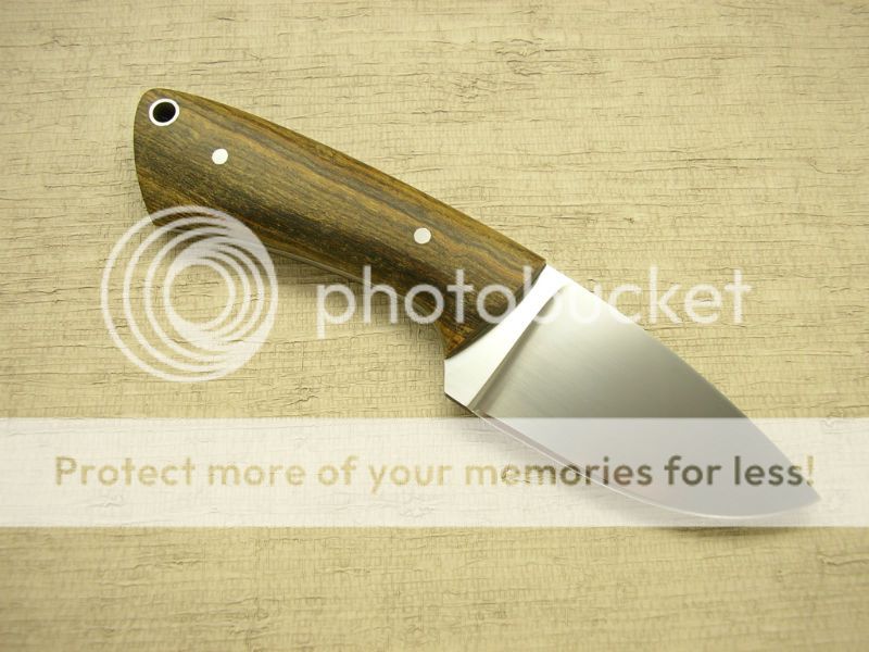 IMGP2047_zps46208d28.jpg