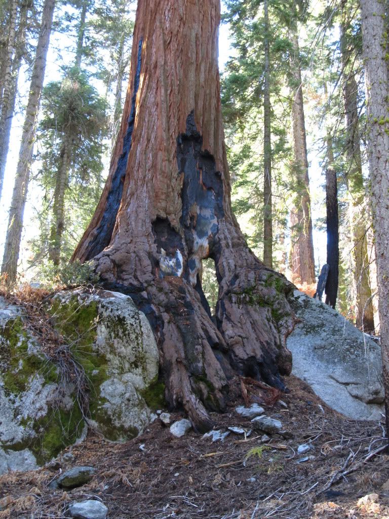 IMG_3406.jpg