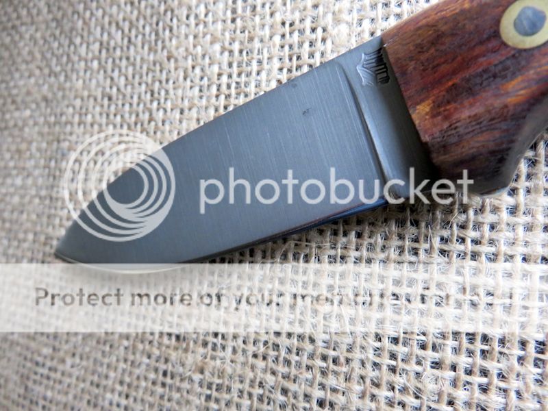 IMG_1459.jpg~original