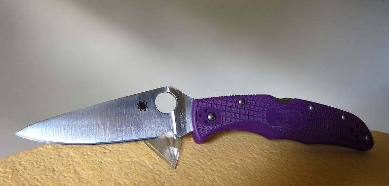 MinSpydercoEnduraFFG.jpg