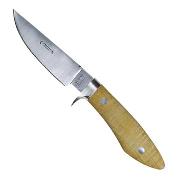 41uJhXdOQeL._SY355_.jpg