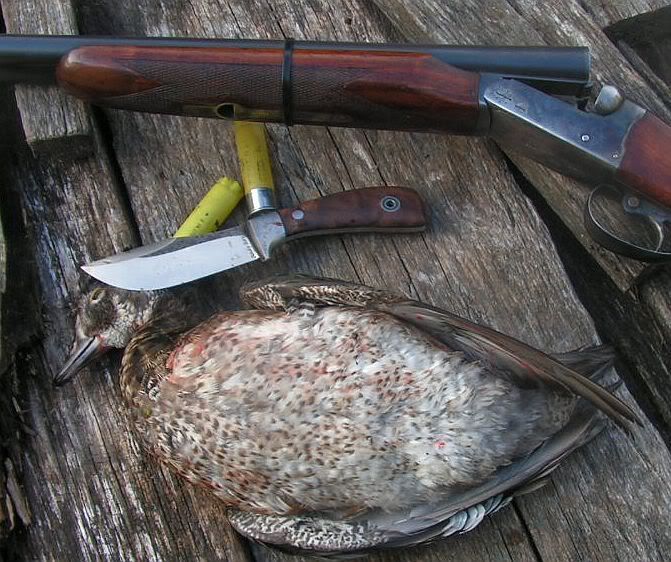 woodieKPHAYA20gatightshot.jpg