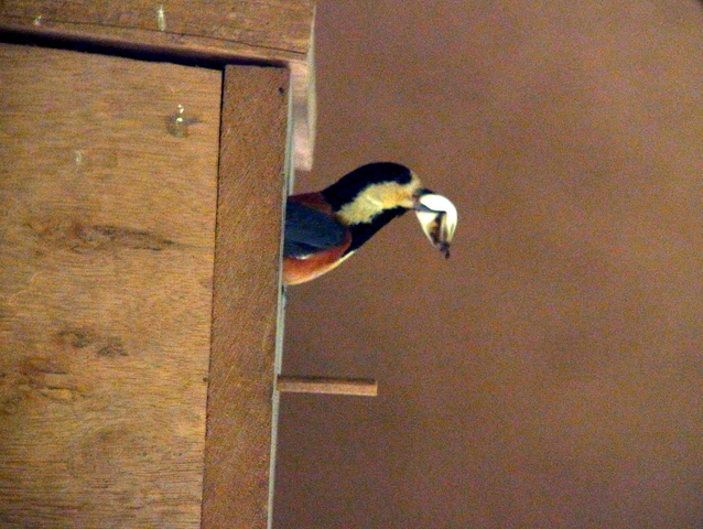 2012.04.22.R0012177.JPG