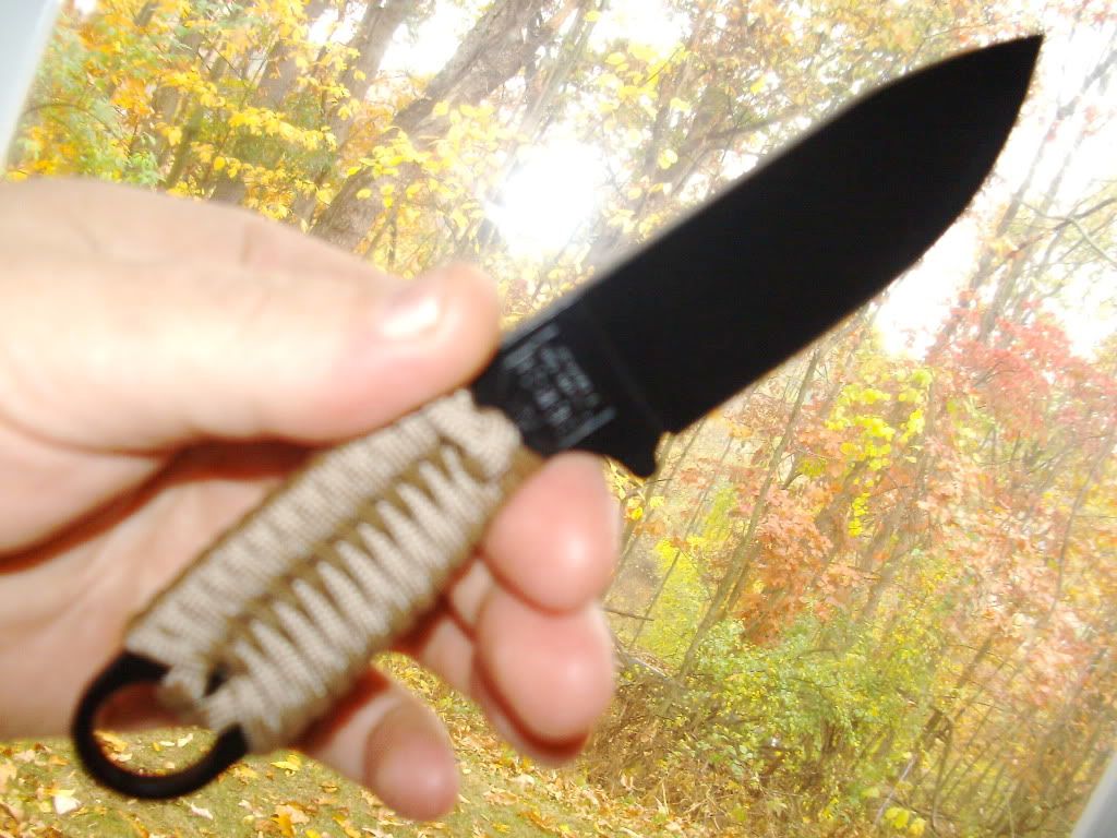 PICT0243.jpg