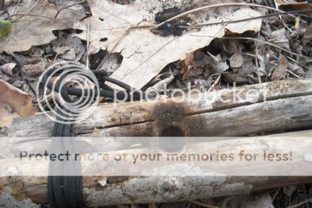 PICT0002-14.jpg