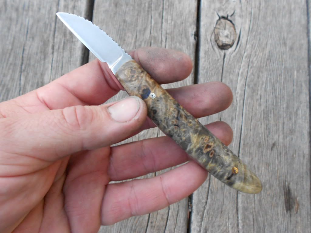 Chipcarver002.jpg