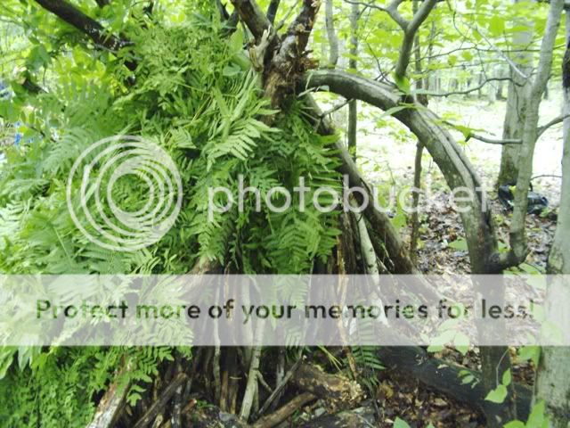 PICT0381.jpg