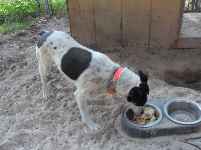 SDC10719.jpg