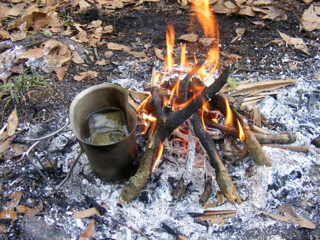 hoghuntfed2009050.jpg