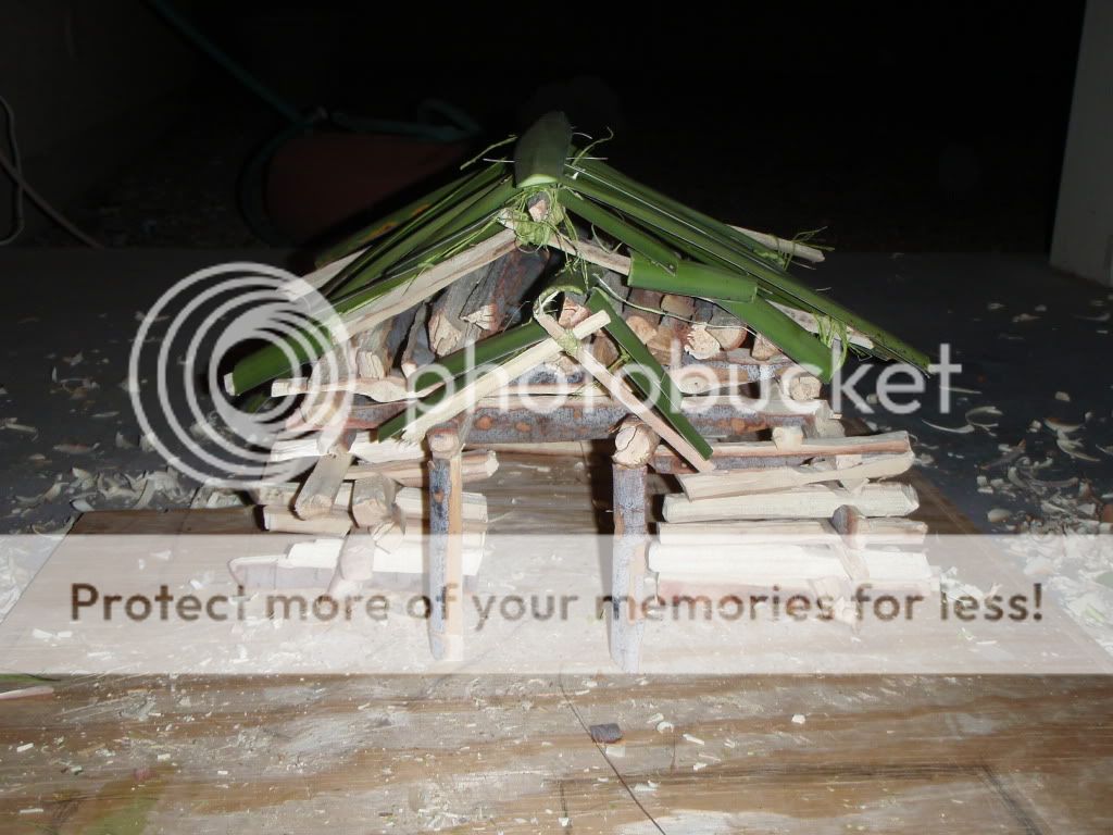PC300834.jpg