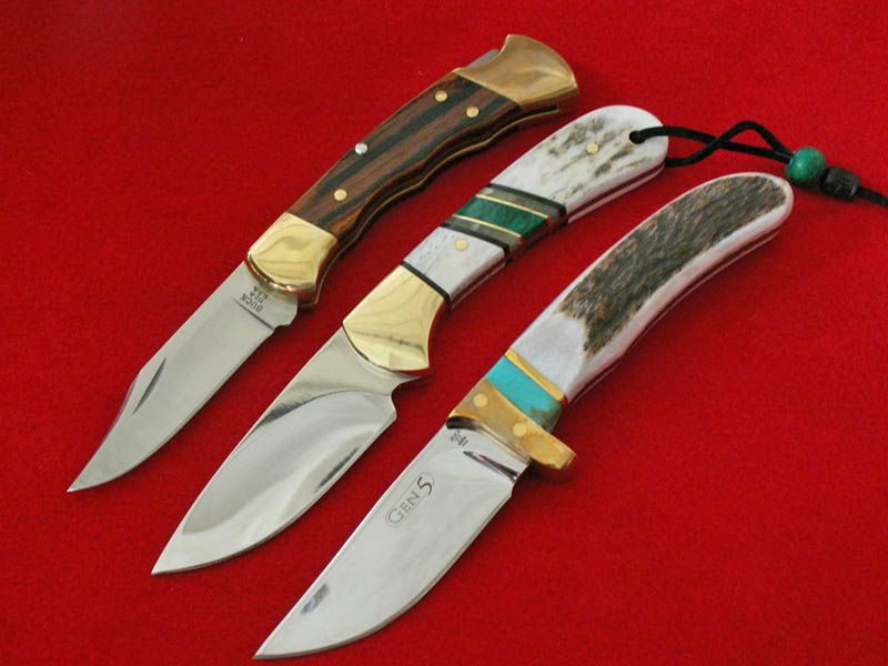 Skinnercomparisona.jpg