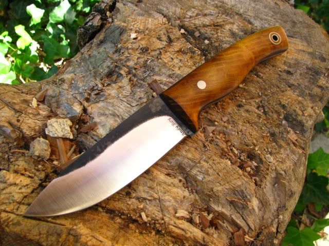 FiddlebackHunter001.jpg