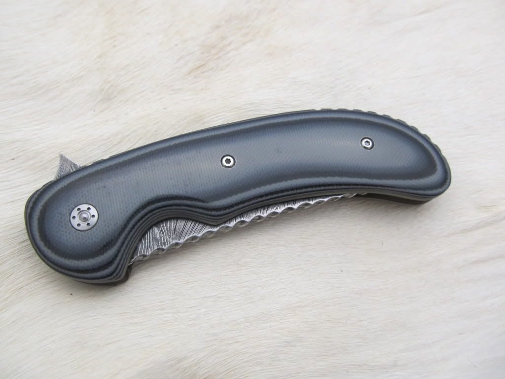 PersianFlipper001.jpg