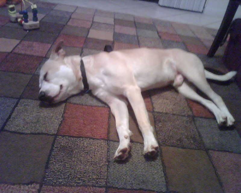 IMG00008.jpg