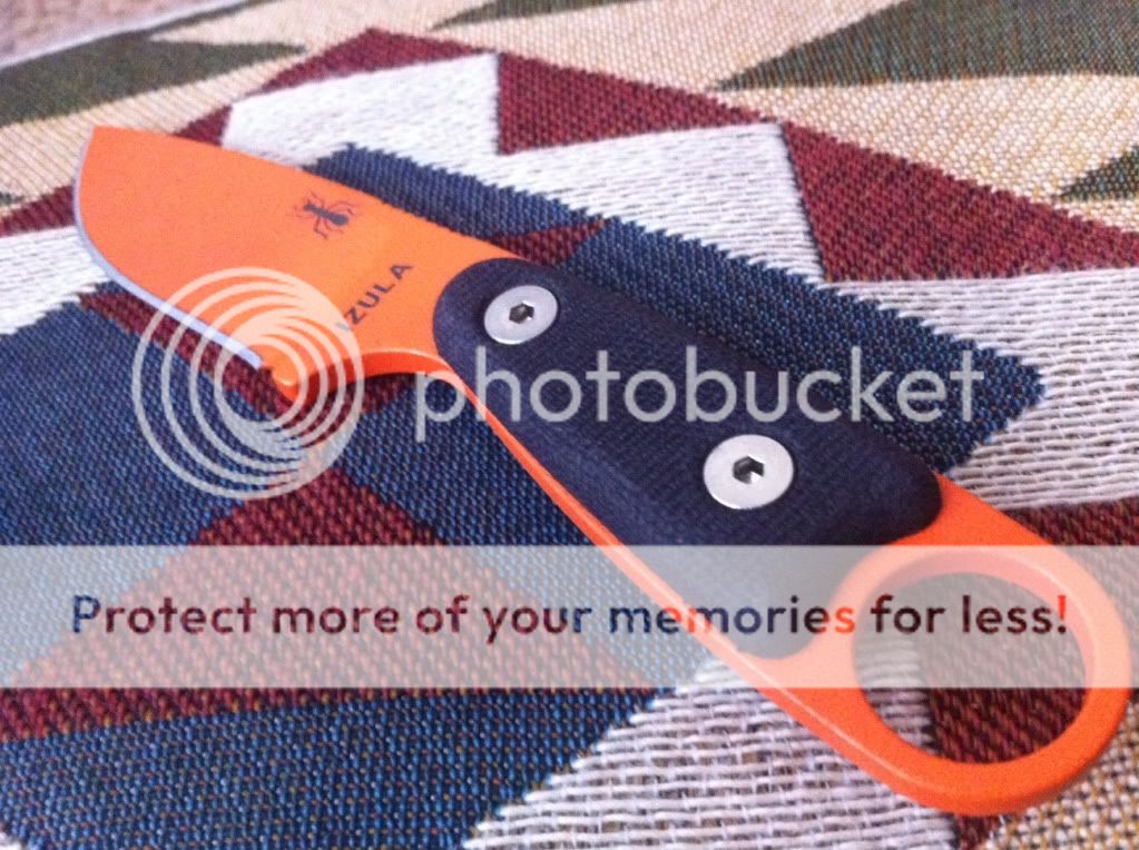 photo2-11.jpg