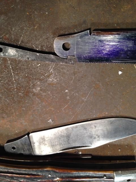 photo1306_zpsb284aa51.jpg