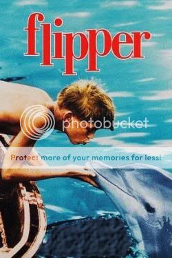 flipper_box_250.jpg