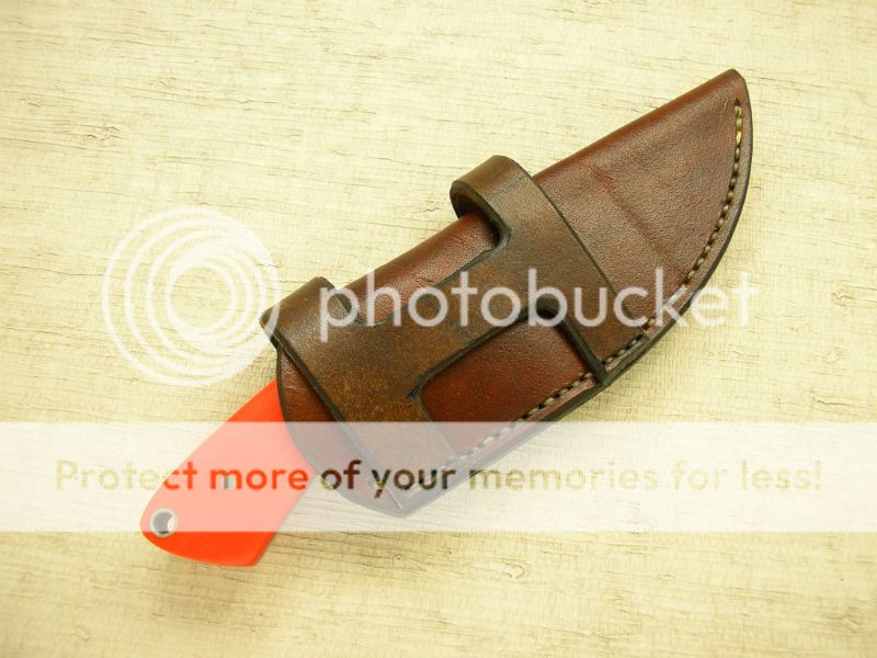 IMGP2067_zps3c4ad94d.jpg