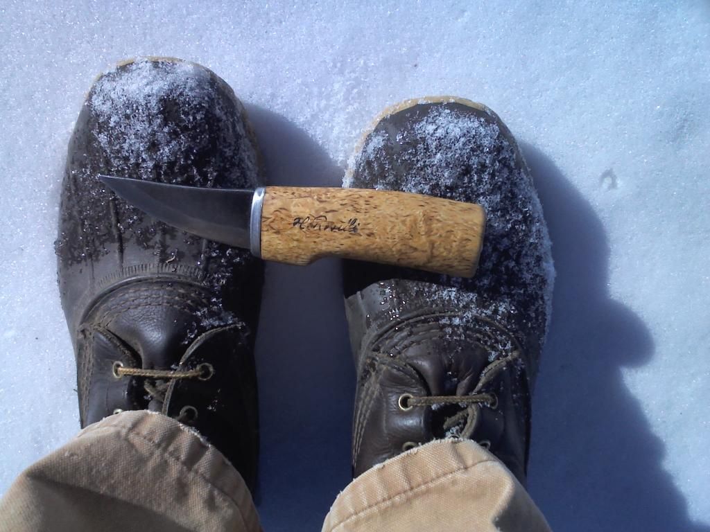 IMG10000.jpg