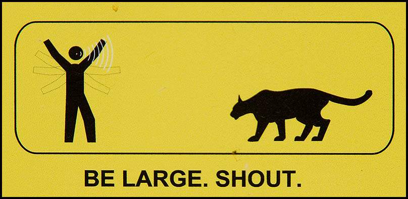 708261412_45519c5194_o.jpg