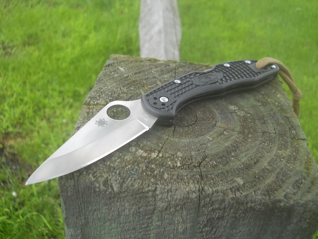 Delica001_zps4335923c.jpg