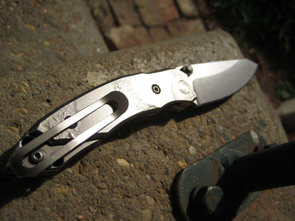 img3147large.jpg