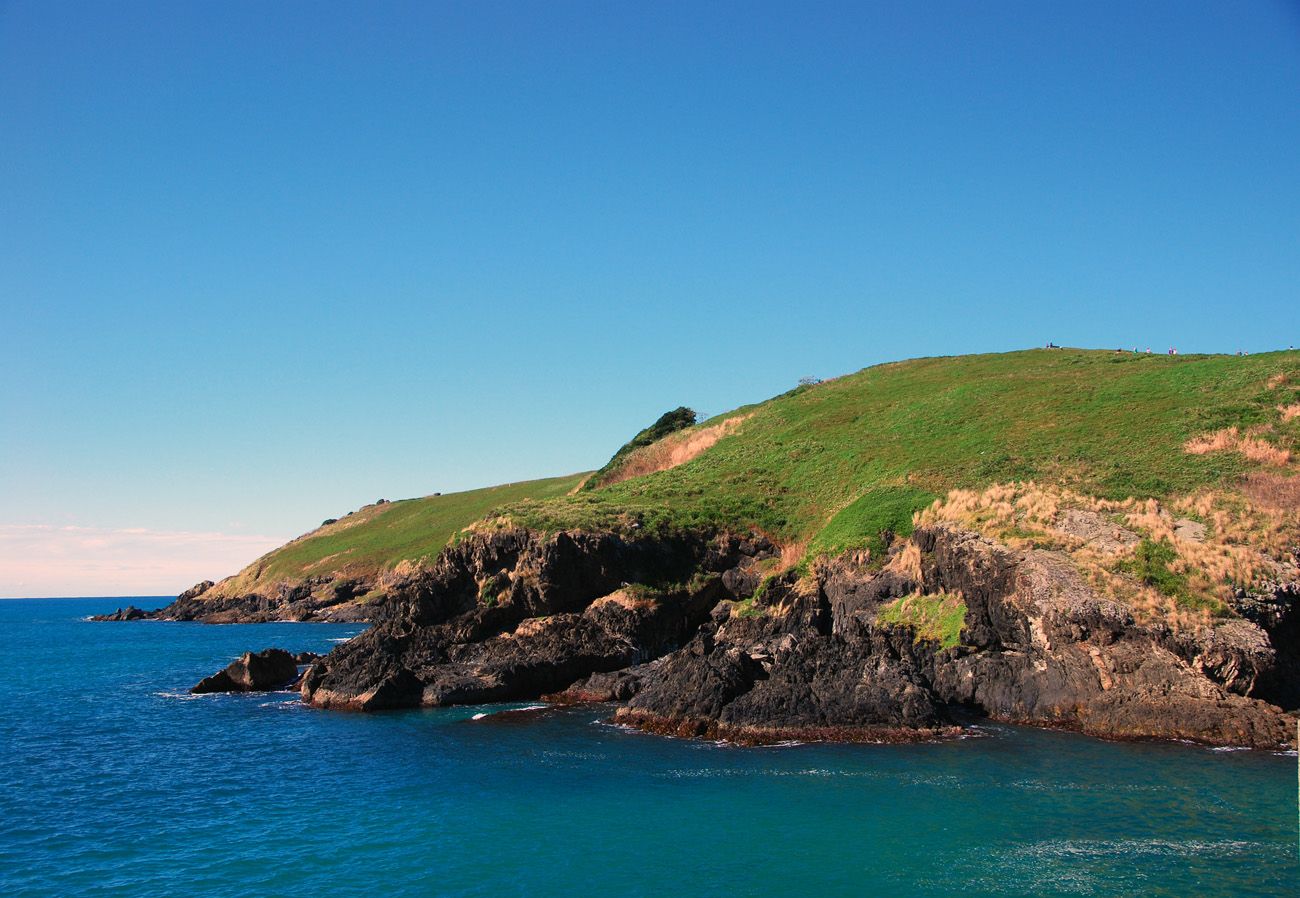 Muttonisland.jpg
