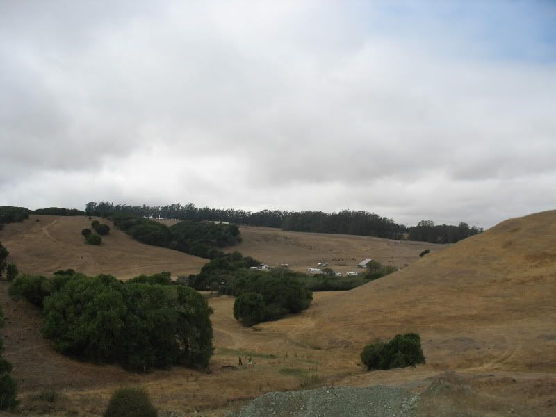 IMG_0802.jpg