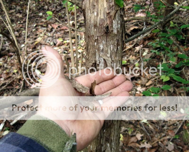 743f8ed4.jpg