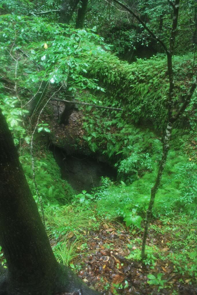 DSC_0450.jpg