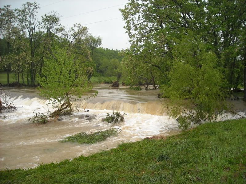 FLOOD006.jpg