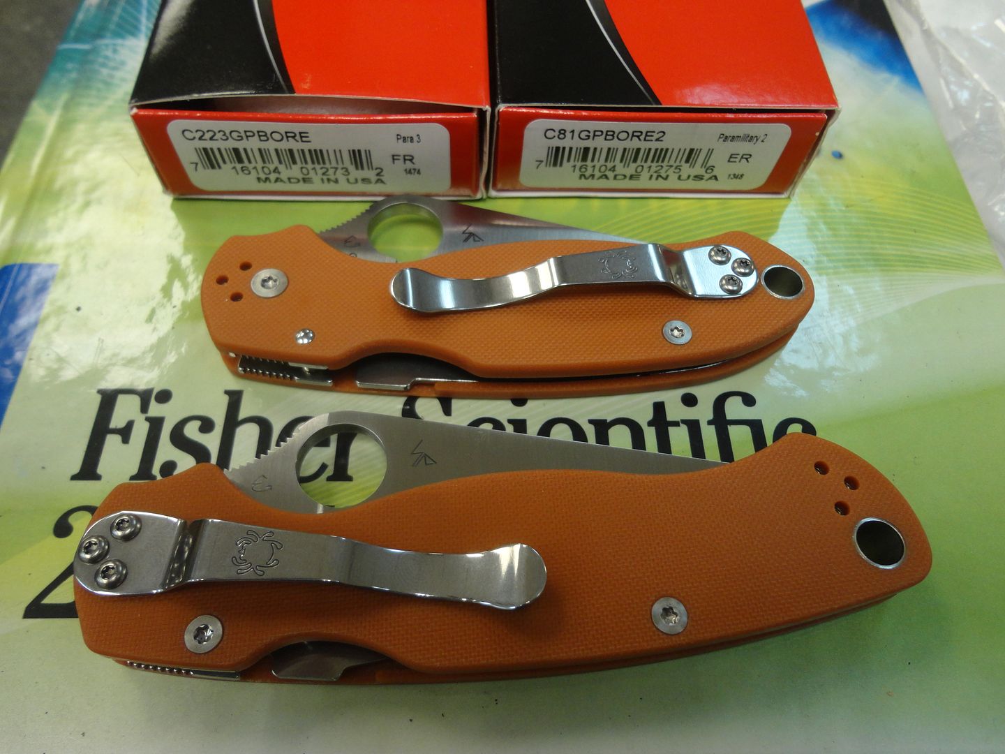 DSC08636_zpsloxzf8cs.jpg
