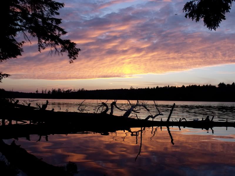 DSCF3041.jpg