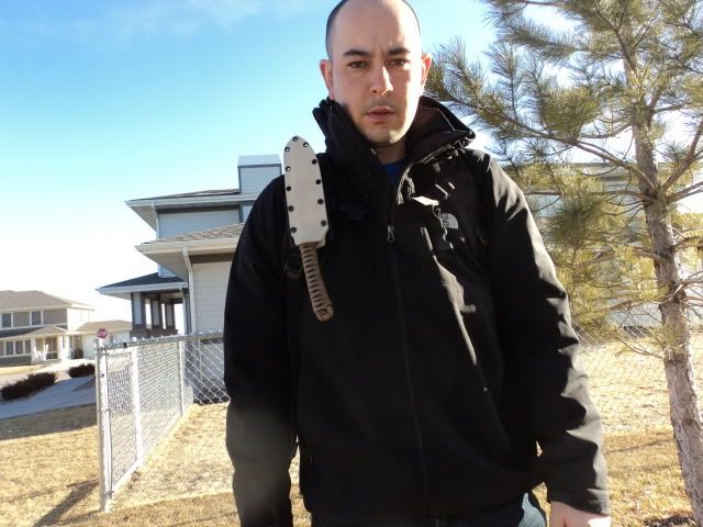 DSC02852.jpg