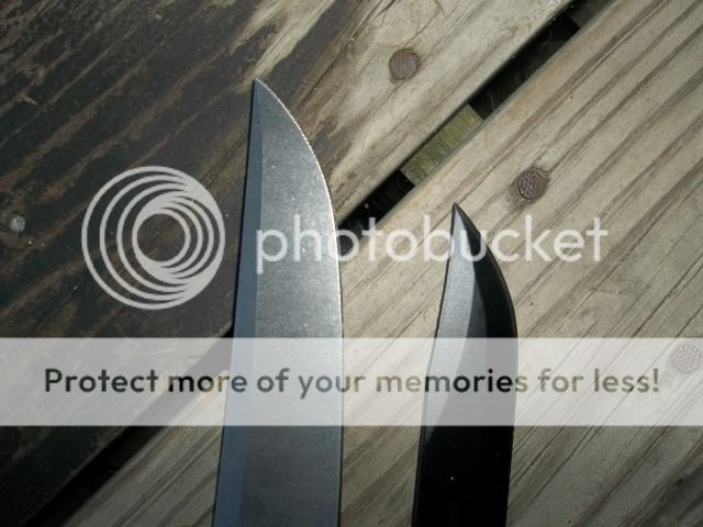 100_2385.jpg
