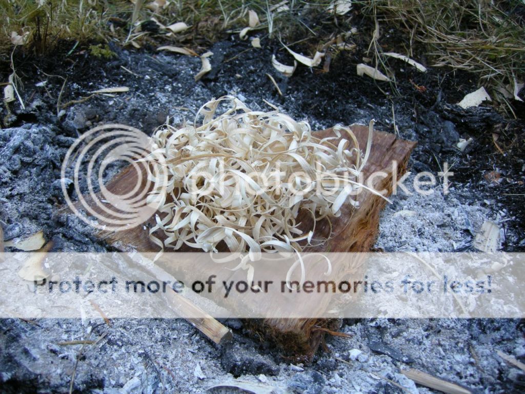 FireContest053.jpg