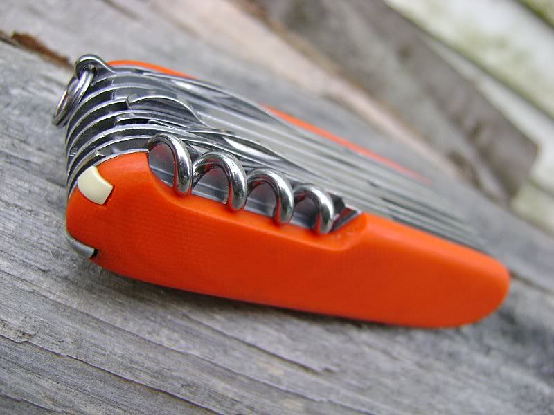 orange3.jpg