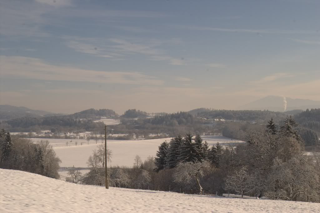 GhThalerWinter2010IMGP6441.jpg