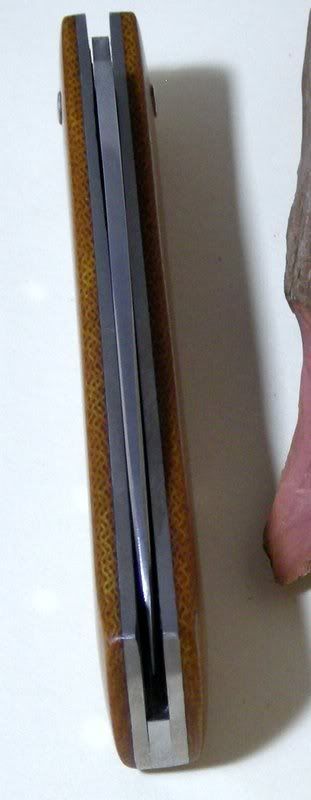 DSCN1563.jpg