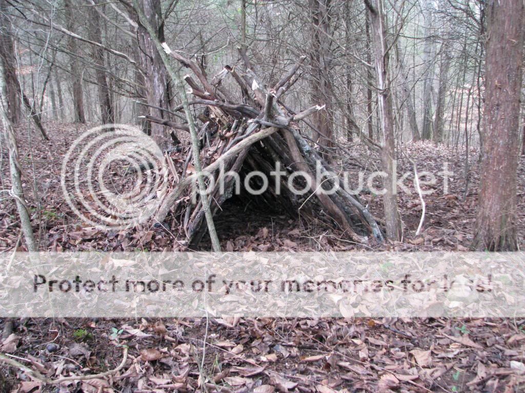 IMG_3364_zpsb93f04df.jpg