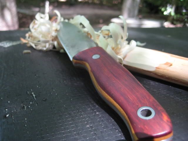 survivaltrip148.jpg